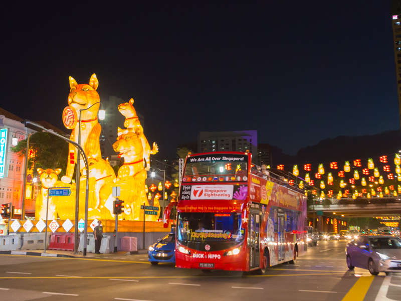 chinese new year tour packages singapore
