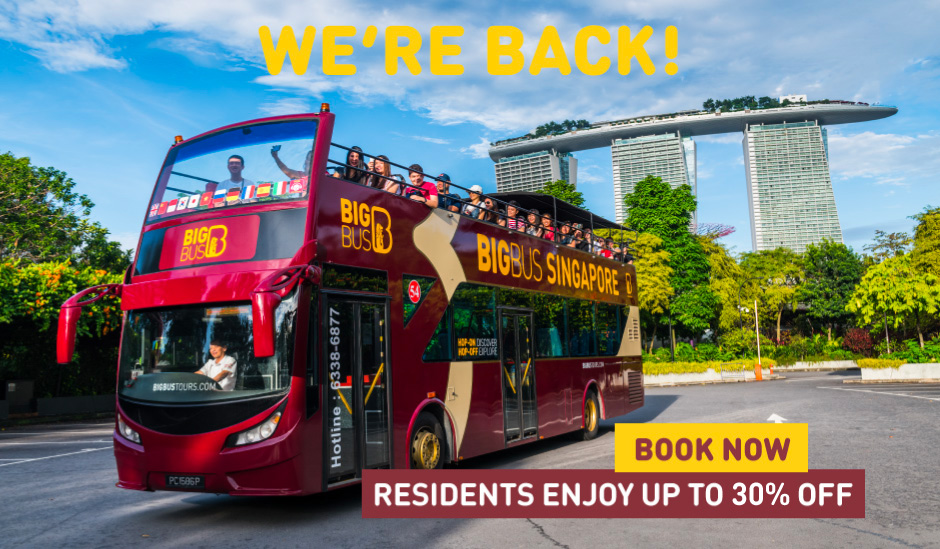 Singapore City Tours Big Bus And Duck Previously Duck And Hippo Tours