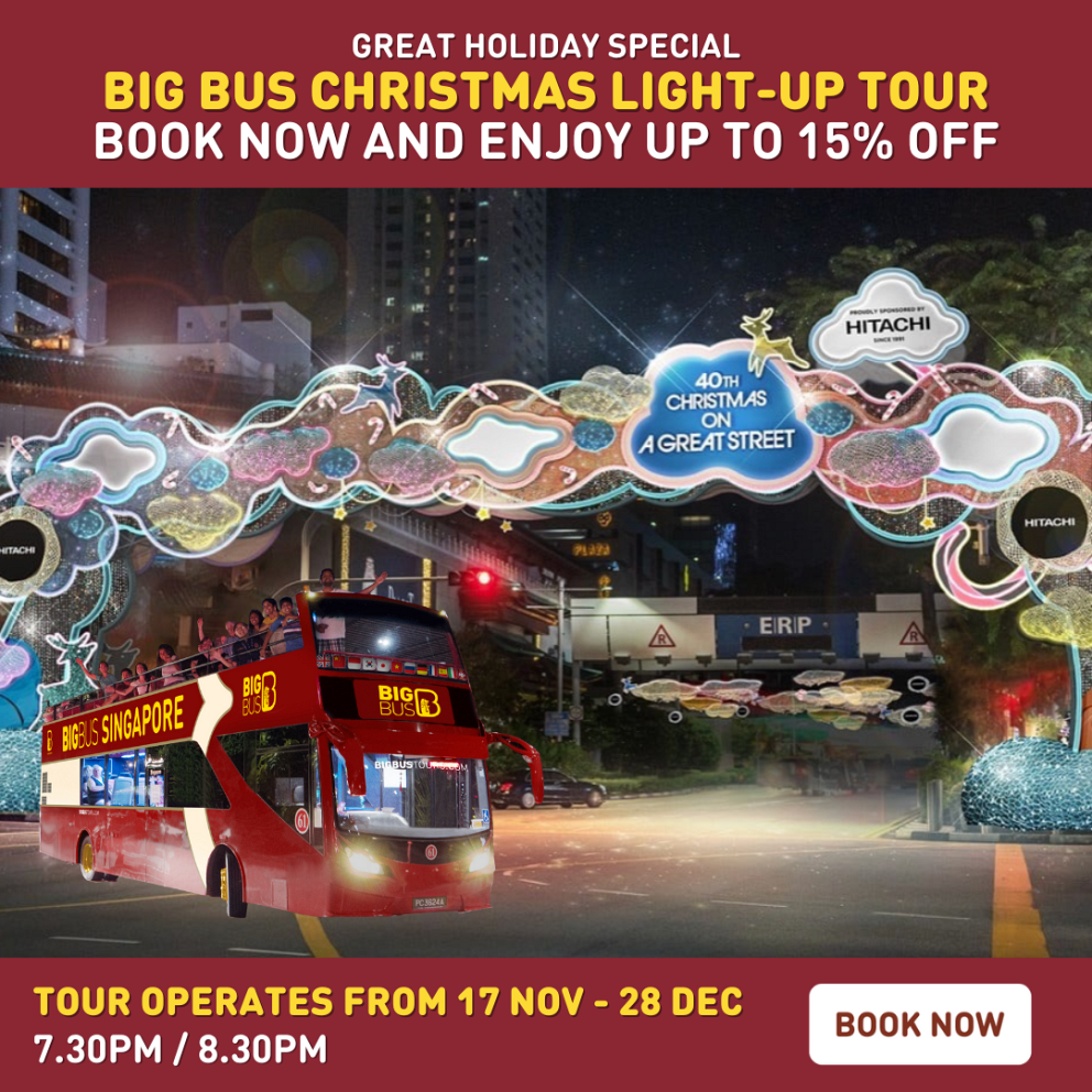 Christmas Light-Up Tour 2023