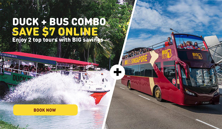 Duck Tours and Big Bus
