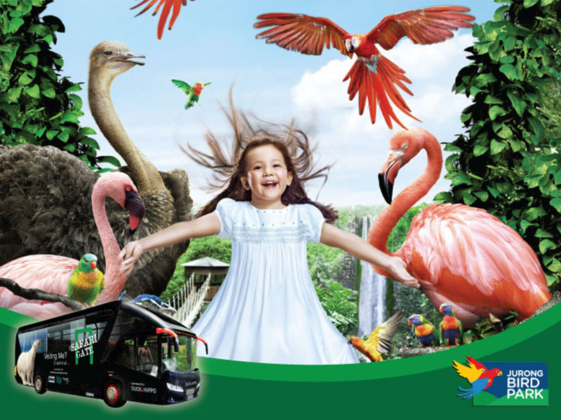 Jurong Bird Park Free & Easy with 2-way transfer