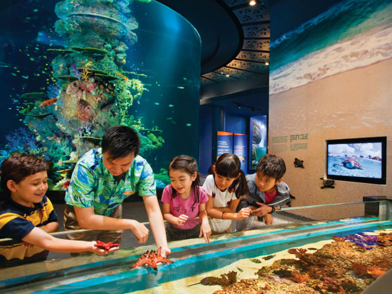 S.E.A. Aquarium with 1-way transfer