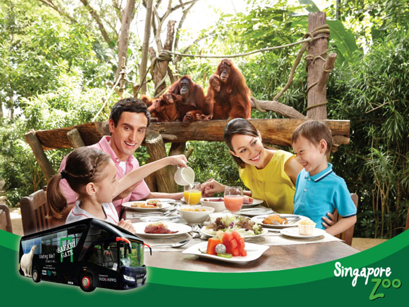 Singapore Zoo Free & Easy with 2-way transfer