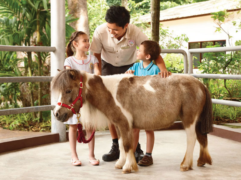 Singapore Zoo Free & Easy with 2-way transfer