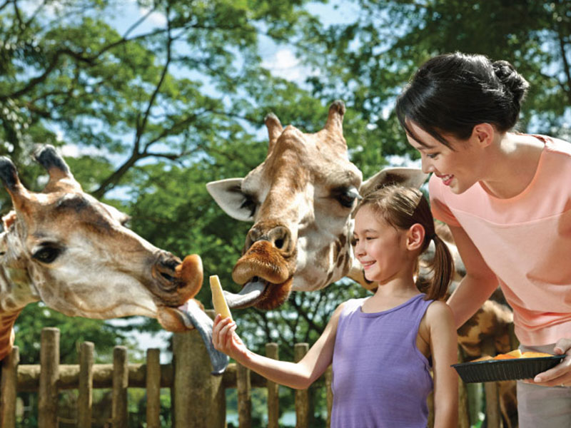 Singapore Zoo Free & Easy with 2-way transfer