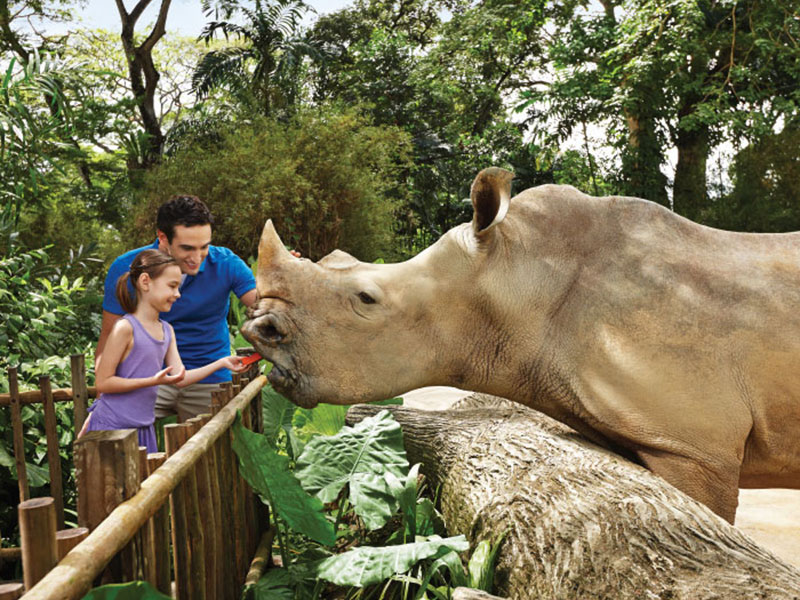 Singapore Zoo Free & Easy with 2-way transfer