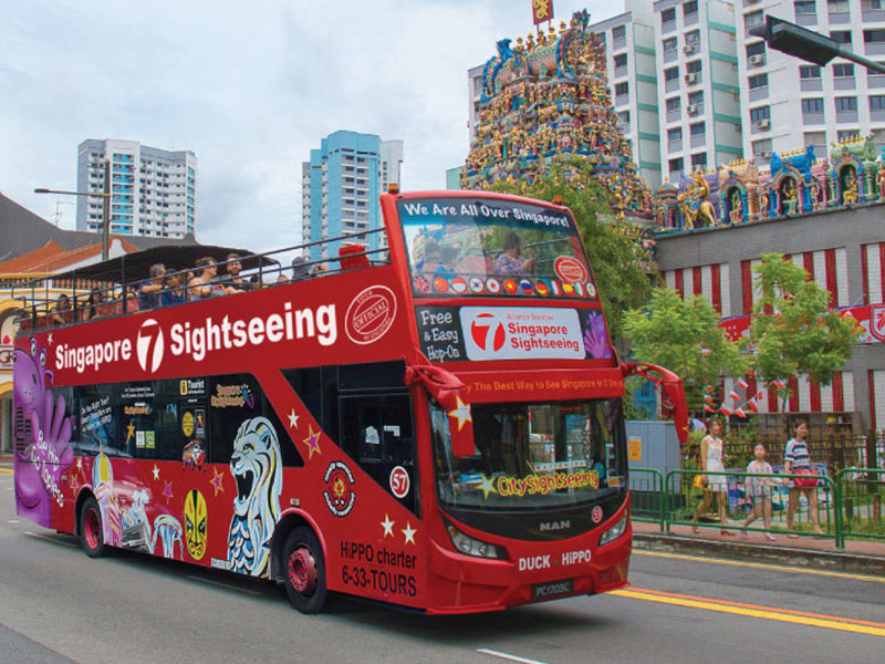 sg sightseeing tour